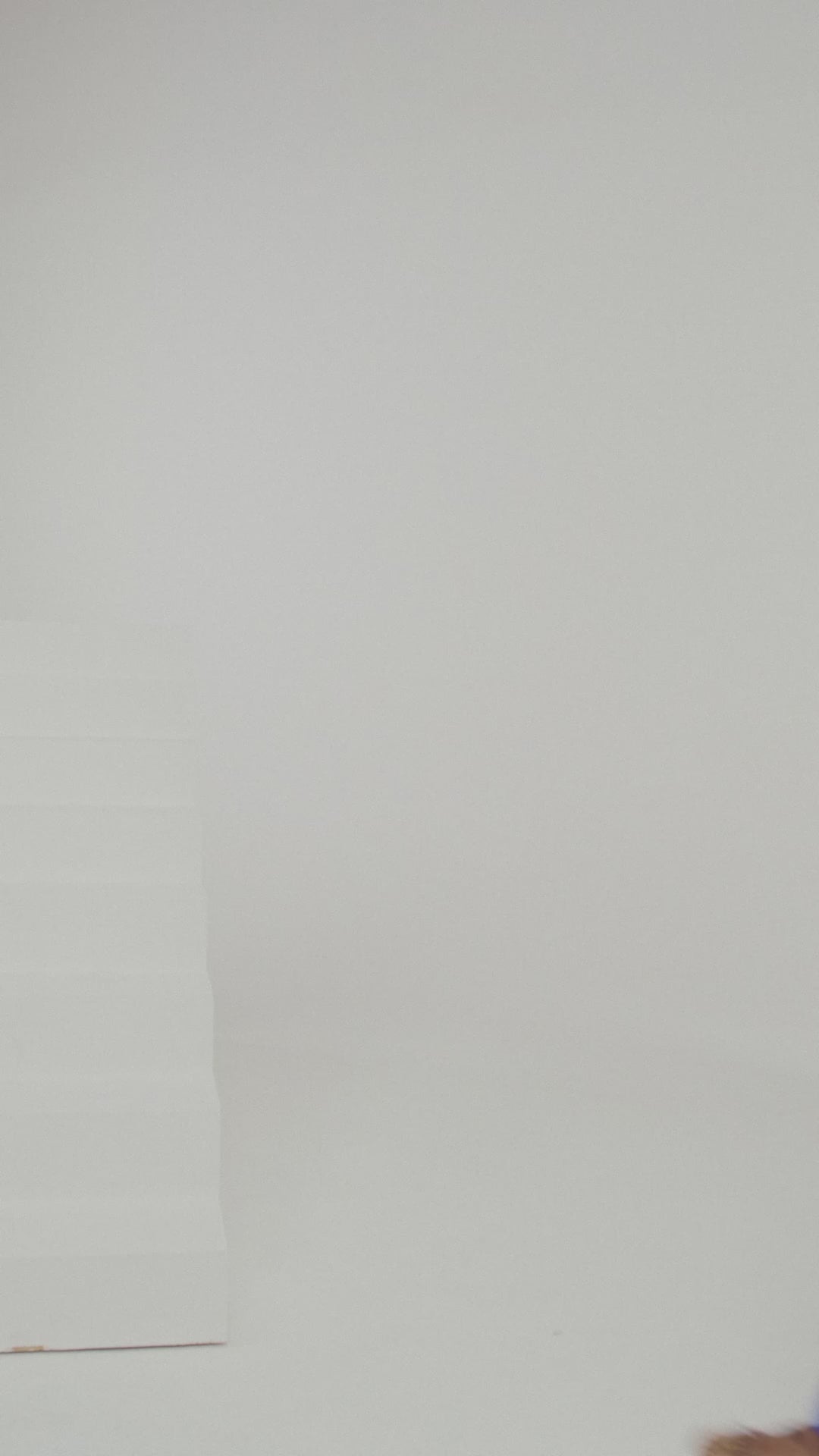 Ranya Trouser